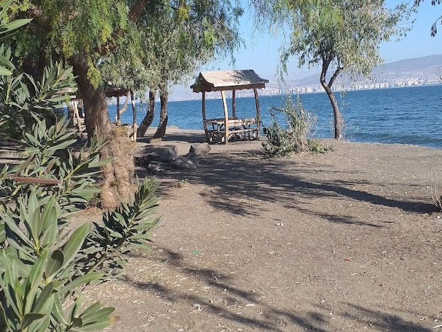 inciralti city forest izmir